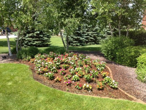 Landscape Maintenance in Bloomington IL